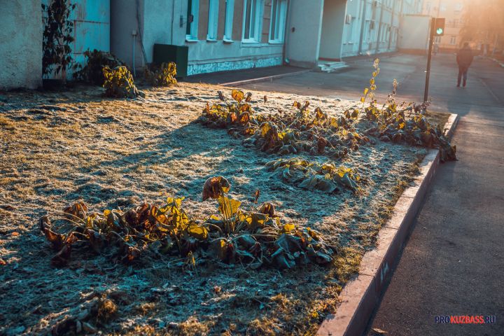 Северный ветер и заморозки до -5°C: синоптики дали прогноз на начало недели в Кузбассе 