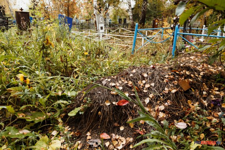 Кузбассовцы обнаружили наполненный мусором ров у могил 