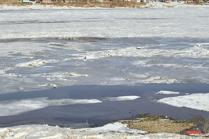 Родители вышедших на тонкий лед в Кузбассе двойняшек попали в поле зрения полиции 