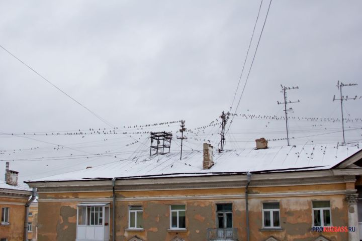 Власти рассказали о сильных разрушениях после штормового ветра в Новокузнецке