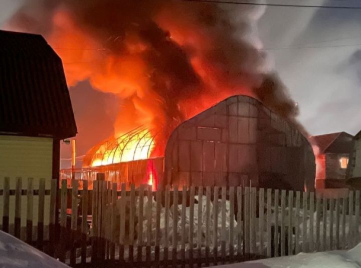 Крупный пожар охватил СТО в Прокопьевске