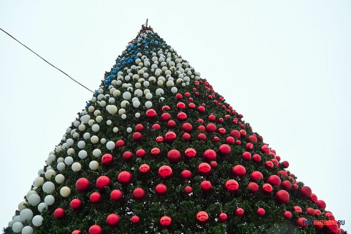 Власти рассказали об установке главной новогодней елки в Кемерове