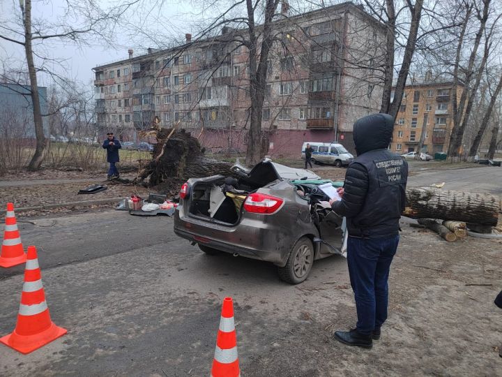 Два человека погибли в Новокузнецке из-за упавшего на автомобиль дерева