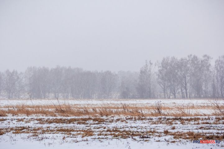 Почти 143 гектара сельхозземель в Кузбассе перейдут под нужды угольщиков