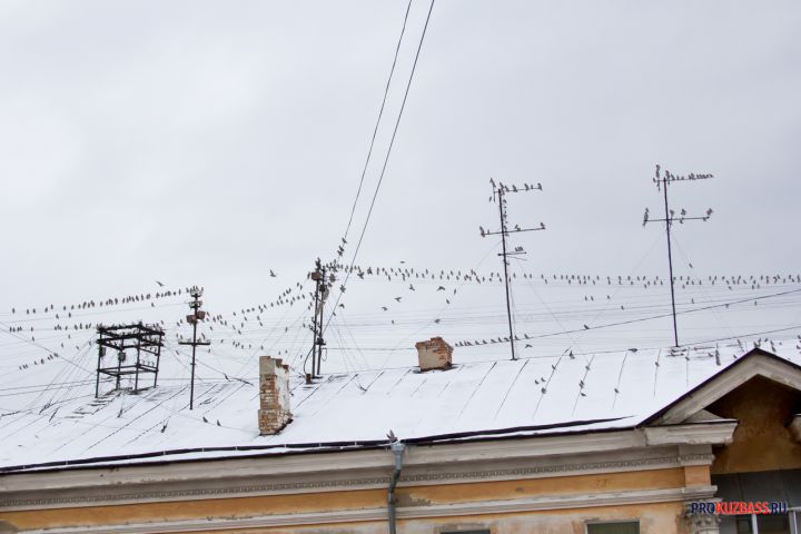 Власти Новокузнецка запланировали ремонт 100 поврежденных ураганным ветром крыш 