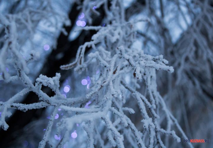 Синоптики сообщили об установлении морозной погоды в Кузбассе в декабре