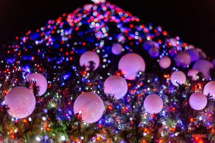 Огни загорятся на новогодних елках в Новокузнецке вечером 1 декабря