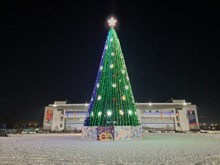 Вандалы лишили новогоднюю елку в кузбасском городе праздничной гирлянды