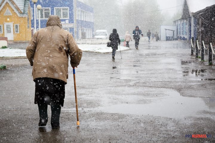 Поиски пропавшей в октябре 82-летней пенсионерки начались в Кузбассе