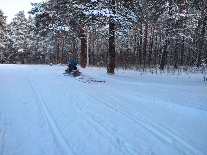 Лыжные трассы заработали в Кемерове