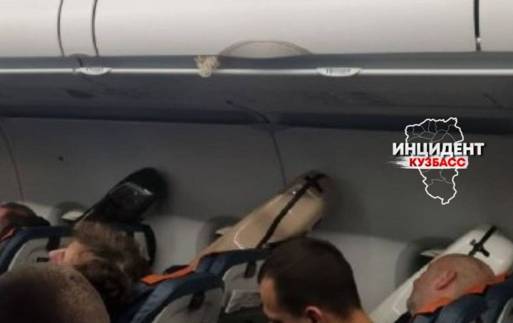 Авиапассажиры из Кемерова остались без мест в самолете из-за контрабасов 