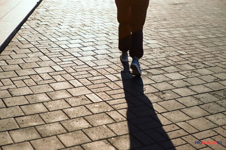 Полиция Кузбасса попросила помочь с поисками исчезнувшей во время прогулки школьницы