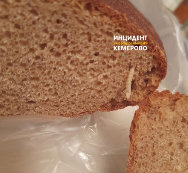Кемеровчанин приобрел хлеб с личинкой в гипермаркете на ФПК