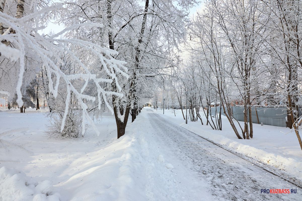 Температура в осе