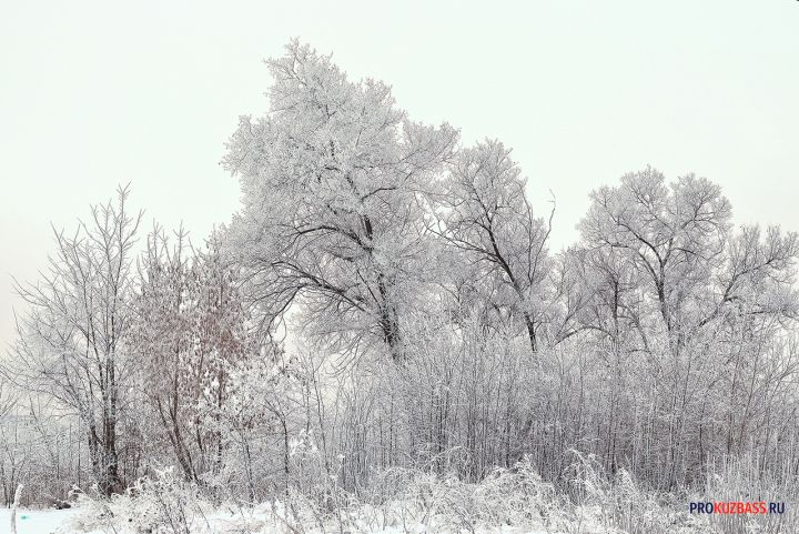 Морозы до –40°C скоро ударят по Кузбассу 