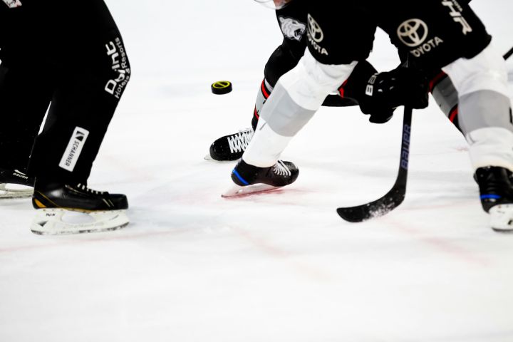 Власти Новокузнецка высказались о введении льгот на хоккейные матчи для части зрителей 