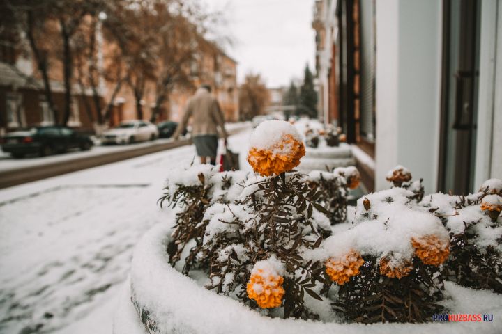 Синоптики рассказали о приятной январской погоде в Кузбассе в субботу