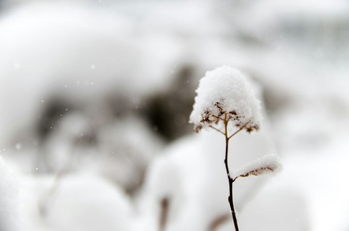 Небольшой снег и до –30°С: синоптики рассказали о погоде в Кузбассе в понедельник