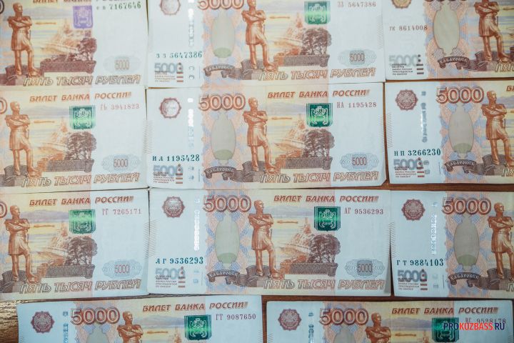 Гендиректор фирмы в Кузбассе отдал более 213 млн рублей за неуплату налогов