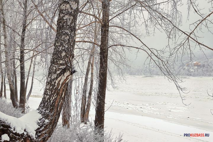 Снегопады придут в Кузбасс вместе с потеплением