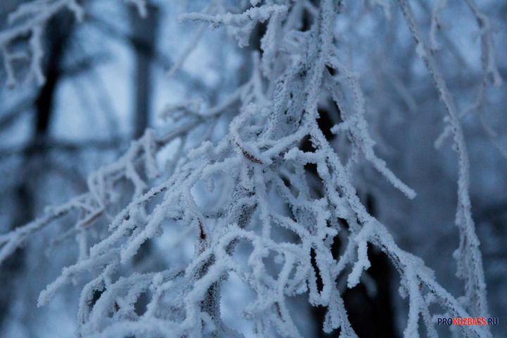 Синоптики спрогнозировали резкое похолодание в Кузбассе на выходных