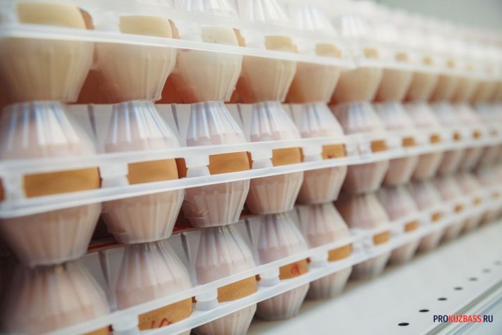 Власти отметили лидерство Кузбасса по производству яиц на фоне повышения цен
