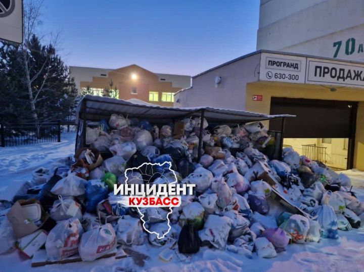 Кемеровчане пожаловались на большую гору мусора около детсада