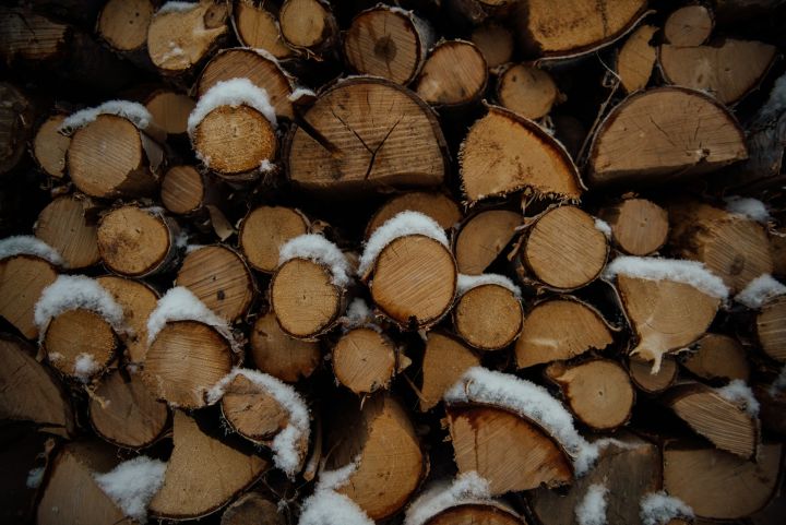 Прокуратура в Кузбассе выявила контрабанду древесины на сумму более 5,6 млн рублей