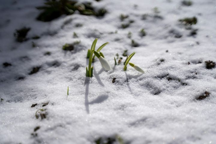 Туманы и потепление до +5ºС: синоптики рассказали о погоде в Кузбассе 7 марта