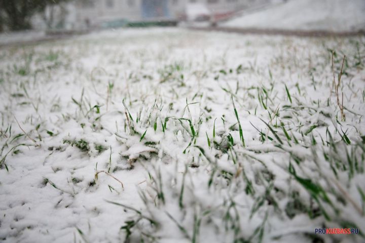 Потепление до +9°C и сильный снег придут в Кузбасс в воскресенье