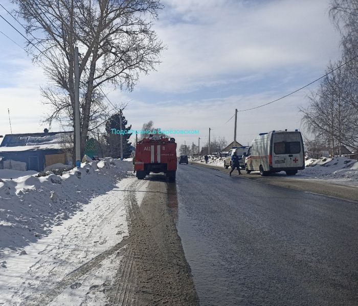 Экстренные службы съехались на одну из улиц кузбасского города