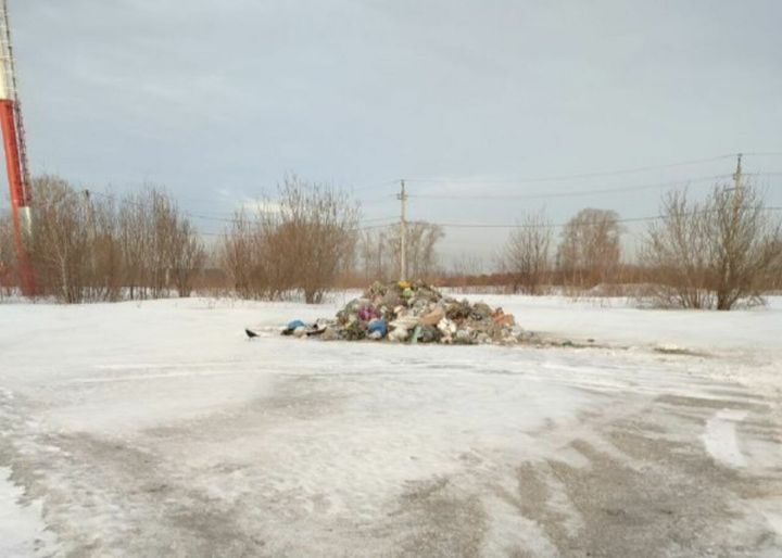 Свалка появилась около остановки в Кемерове из-за возгорания в мусоровозе