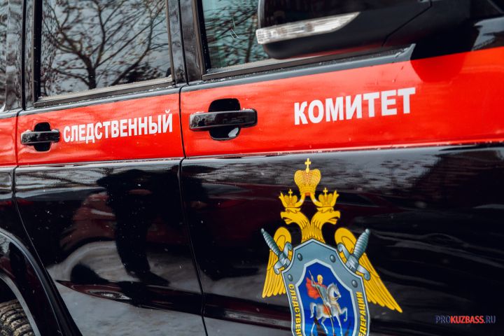 СК в Кузбассе возбудил уголовное дело по фактам нападения собак на взрослых и ребенка