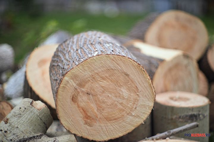 Вывоз древесины за границу из Кузбасса резко вырос