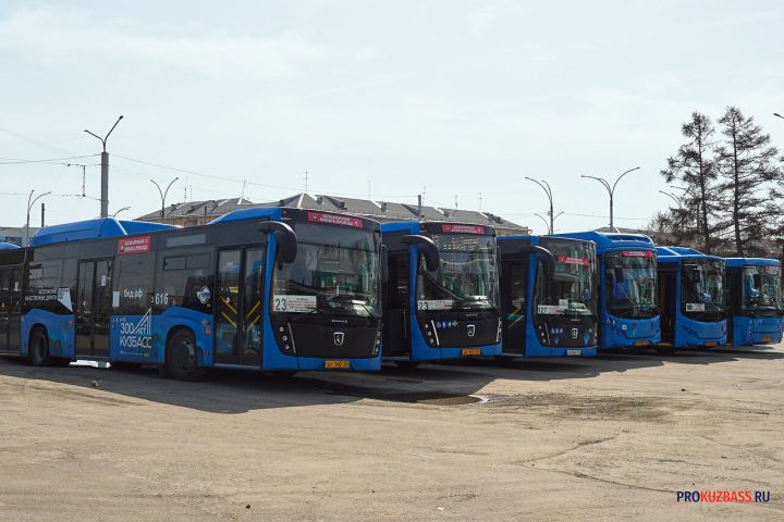Сезонные автобусы начнут ходить в Новокузнецке