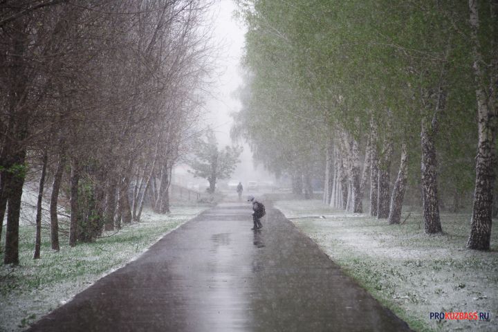 Дождь и мокрый снег: синоптики рассказали о погоде в Кузбассе 1 мая