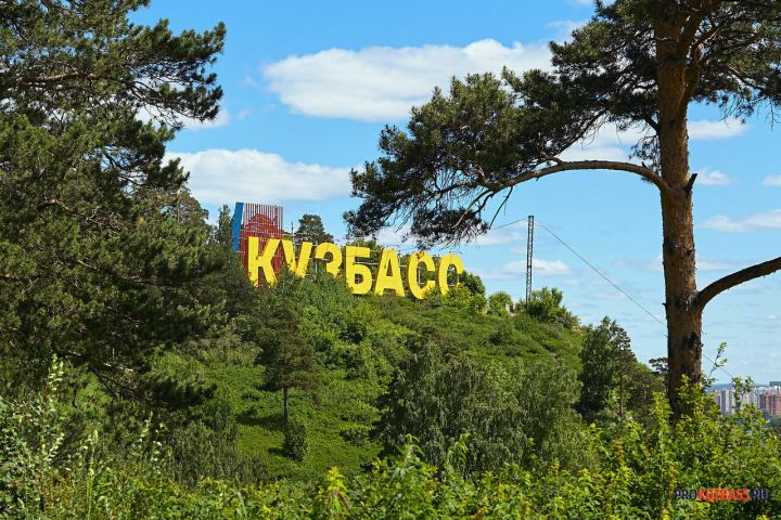 Кузбасские волонтеры рассказали о ходе поисков пропавших людей в апреле