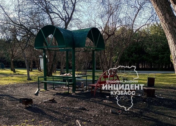 Кемеровчане пожаловались на заваленный мусором городской парк