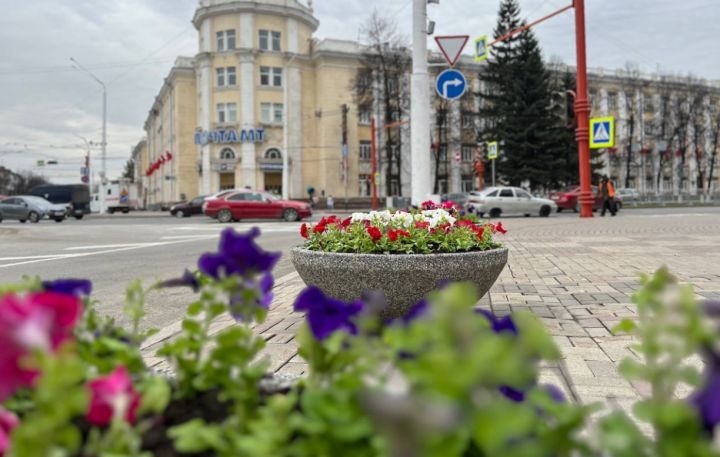 Специалисты начали засаживать кузбасскую столицу цветами 