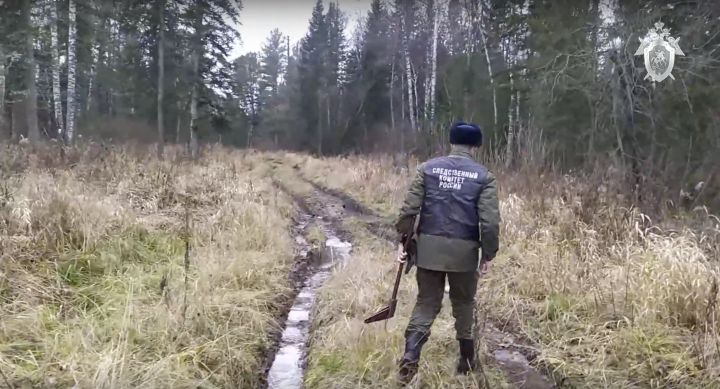 Сотрудники лесничества в Кузбассе попали под суд по делу о незаконной вырубке деревьев