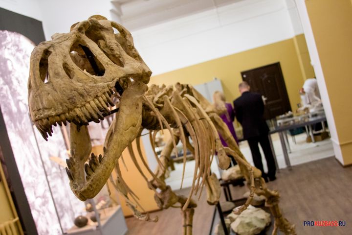 Специалисты описали новый вид живших в Кузбассе динозавров