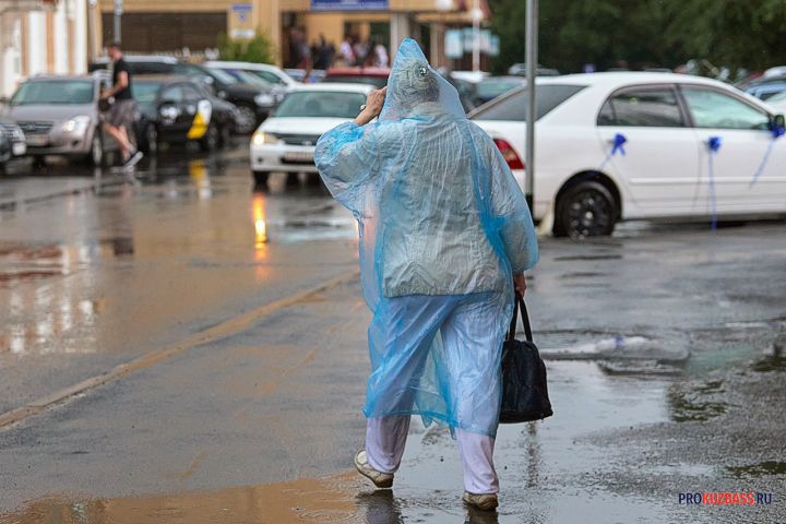 Дожди и грозы задержатся в Кузбассе до середины недели
