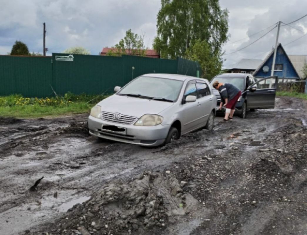 Дорога через болото