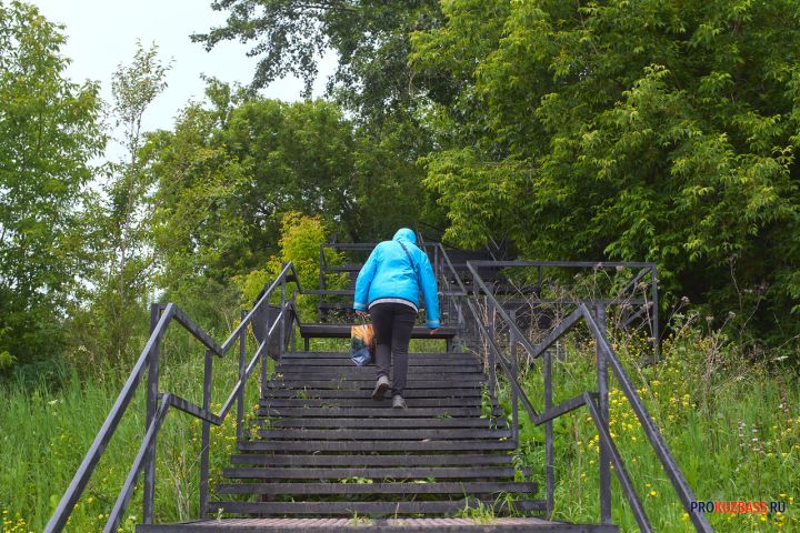 Пенсионерка пропала без вести в кузбасском лесу