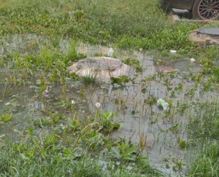 «Болото»: вода из канализации затопила кемеровский двор
