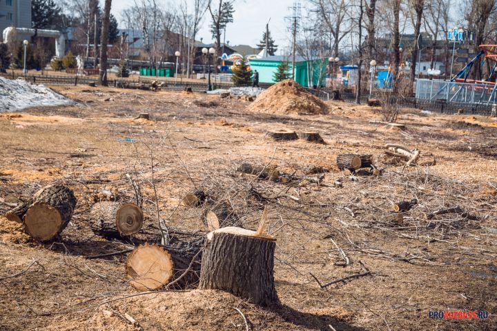 Спиленные деревья исчезли с новокузнецкой улицы после жалоб в Сети