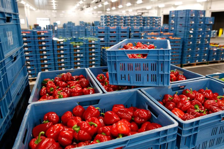 Специалисты перечислили ввозимые в Кузбасс из-за границы продукты