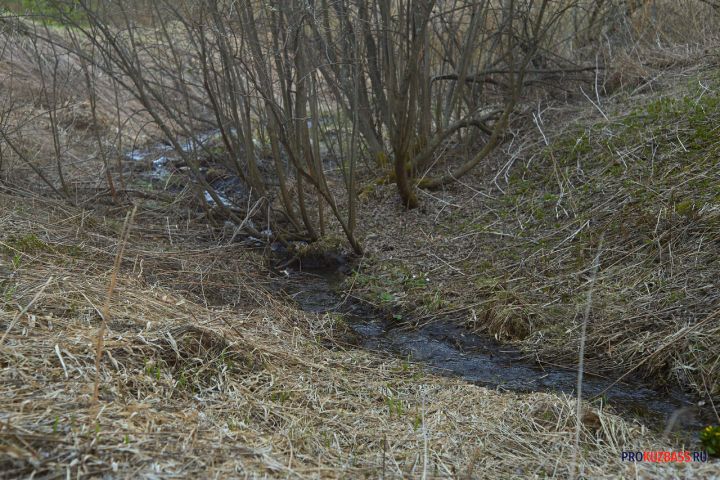 Гигантское озеро образовалось в кузбасском городе из-за прорыва колодца