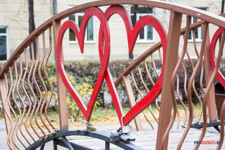 Глава СКР Баскрыкин заинтересовался делом оставшейся без любви и денег жительницы Кузбасса