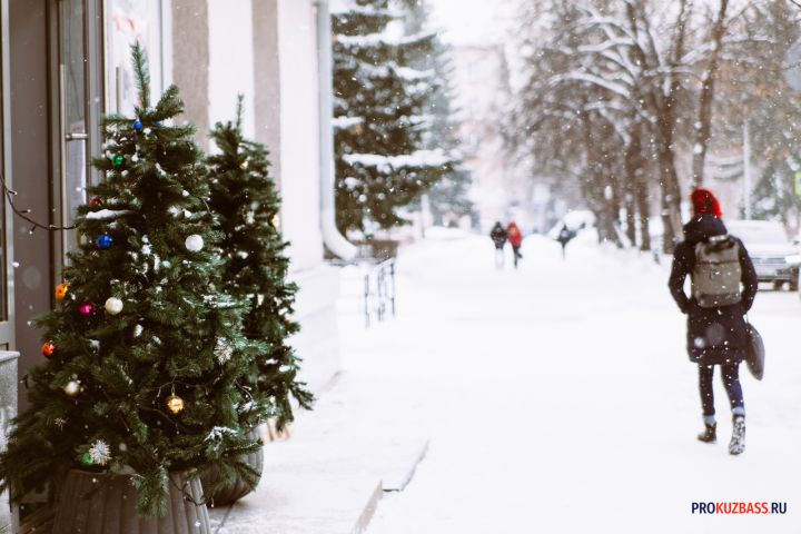 Дерзкая кража новогодней елки со двора дома в Новокузнецке попала на видео